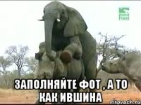  заполняйте фот , а то как ившина