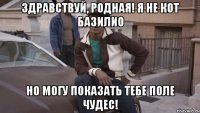 здравствуй, родная! я не кот базилио но могу показать тебе поле чудес!