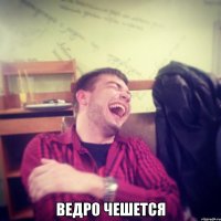  ведро чешется