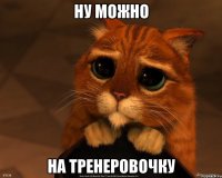 ну можно на тренеровочку