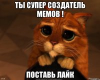 ты супер создатель мемов ! поставь лайк