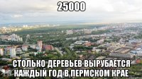 25000 столько деревьев вырубается каждый год в пермском крае