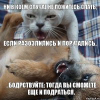 Ни в коем случае не ложитесь спать, если разозлились и поругались. . Бодрствуйте: тогда вы сможете еще и подраться.