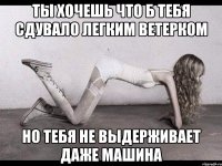 ты хочешь что б тебя сдувало легким ветерком но тебя не выдерживает даже машина