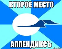 второе место аппендиксъ