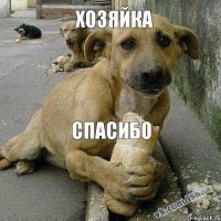 спасибо хозяйка