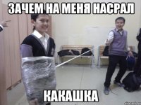 зачем на меня насрал какашка