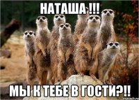 наташа !!! мы к тебе в гости?!!