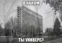 в каком ты универе?