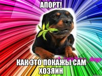 апорт! как это покажы сам хозяин