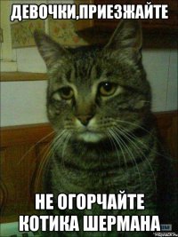 девочки,приезжайте не огорчайте котика шермана