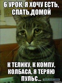 6 урок, я хочу есть, спать,домой к телику, к компу, колбаса, я теряю пульс...