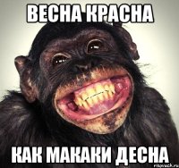 весна красна как макаки десна