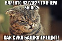 бля! кто я? где? что вчера было? как сука башка трещит!