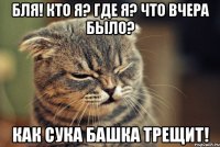 бля! кто я? где я? что вчера было? как сука башка трещит!
