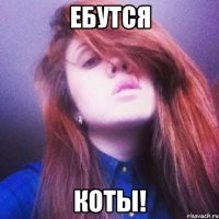 ебутся коты!