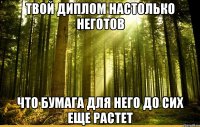 твой диплом настолько неготов что бумага для него до сих еще растет