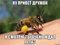 ну привет дружок я смотрю ты очень ждал лета?