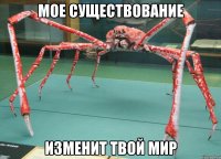 мое существование изменит твой мир