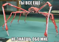 ты все еще не знаешь обо мне