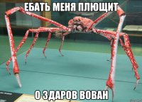 ебать меня плющит о здаров вован