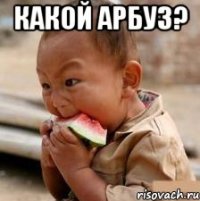какой арбуз? 