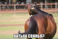  катька свинья?