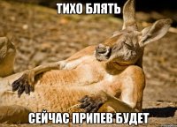 тихо блять сейчас припев будет