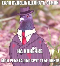 Если будешь Щелкать семки Мои ребята обосрут тебе окно! На Конечке.