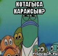 котагыса карайсын? 