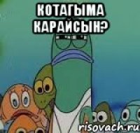 котагыма карайсын? 