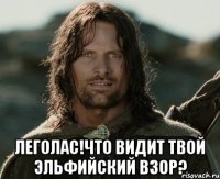  леголас!что видит твой эльфийский взор?