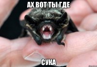 ах вот ты где сука