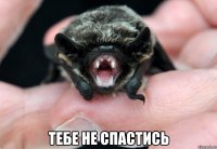  тебе не спастись