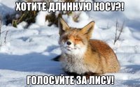 хотите длинную косу?! голосуйте за лису!