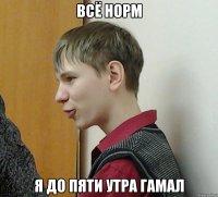 всё норм я до пяти утра гамал