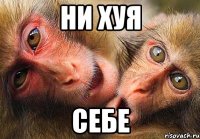 ни хуя себе