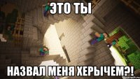 это ты назвал меня херычем?!