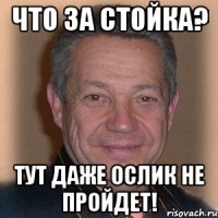 что за стойка? тут даже ослик не пройдет!