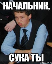 начальник, сука ты