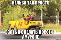 нельзя так просто взять и сделать дороги в амурске