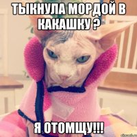 тыкнула мордой в какашку ? я отомщу!!!