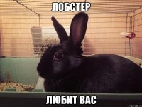 лобстер любит вас