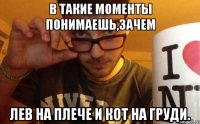 в такие моменты понимаешь,зачем лев на плече и кот на груди.