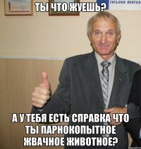 ты что жуешь? а у тебя есть справка что ты парнокопытное жвачное животное?