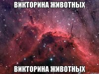 викторина животных викторина животных