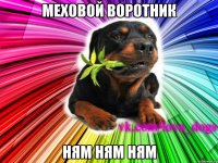 меховой воротник ням ням ням