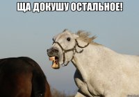 ща докушу остальное! 