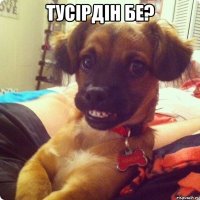 тусiрдiн бе? 