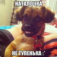 наталочка не тупенька :*
